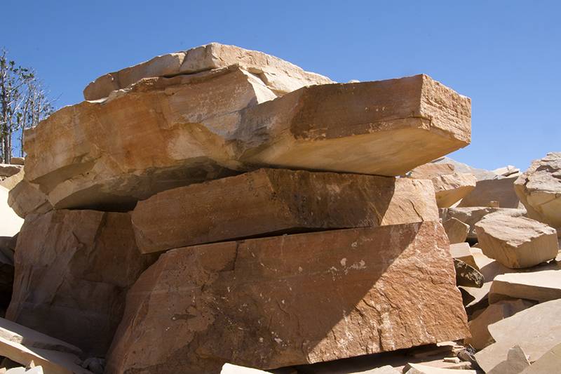 Meet Sarah Maithel, unassuming First Lady of Coconino Sandstone LLUH News